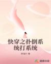 快穿之扑倒系统打系统