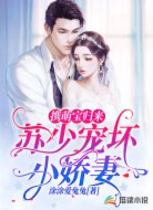 携萌宝归来:苏少宠坏小娇妻