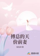 傅总的天价前妻