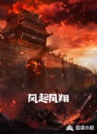 风起凤翔