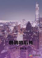 鹧鸪哨后传