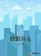 独狼兵王