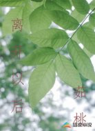 离开以后