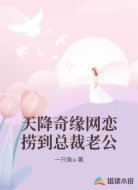 天降奇缘网恋捞到总裁老公