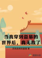 當我穿到盜墓的世界后，我無敵了