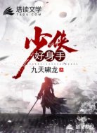 少侠:好身手