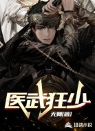 医武狂少