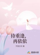 待重逢,再依依
