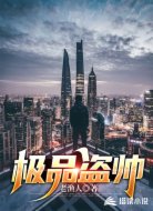 极品盗帅