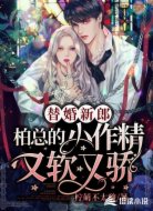 替婚新郎:柏总的小作精又软又骄