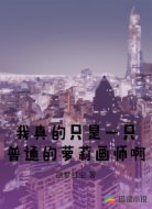 我真的只是一只普通的萝莉画师啊