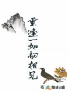 重逢一如初相见