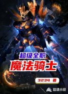 超级全职魔法骑士