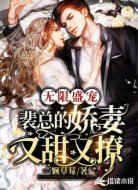 无限盛宠:裴总的娇妻又甜又撩