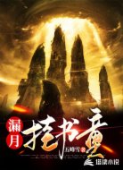 漏月挂书童