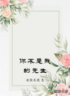 你不是我的先生