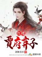 紅樓之賈府棄子