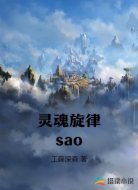 灵魂旋律sao