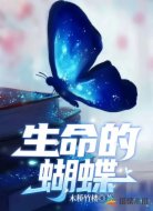 生命的蝴蝶