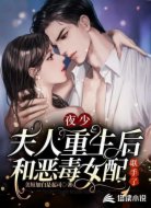 夜少,夫人重生后和恶毒女配联手了