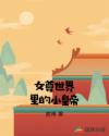 女尊世界里的小皇帝