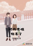 你的布偶猫丢了