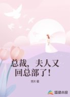 总裁,夫人又回总部了!