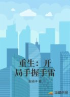 重生:开局手握手雷