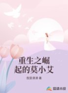 重生之崛起的莫小艾