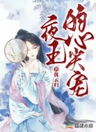 夜王的心尖宠