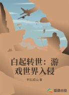 白起转世：游戏世界入侵