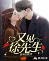 又見徐先生