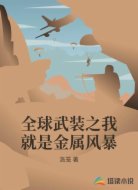 全球武装之我就是金属风暴