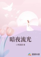 暗夜流光