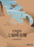 csgo之巅峰荣耀