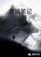 赘婿笔记