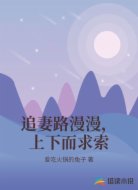 追妻路漫漫,上下而求索