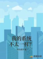 我的系统不太一样?