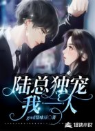 陆总独宠我一人
