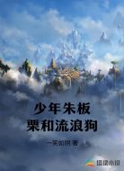 少年朱板栗和流浪狗