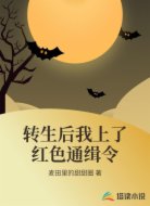 转生后我上了红色通缉令