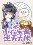 农家小福宝是逆天大佬