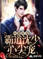 闪婚厚爱，霸道沈少心尖宠