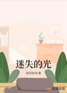 迷失的光