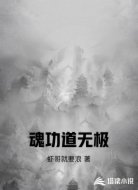 魂功道无极