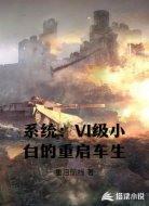 系统：VI级小白的重启车生