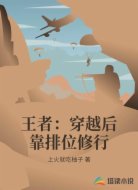 王者:穿越后靠排位修行