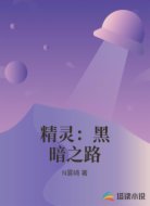 精灵:黑暗之路