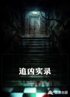 追凶实录