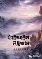 命运相遇时，已是轮回